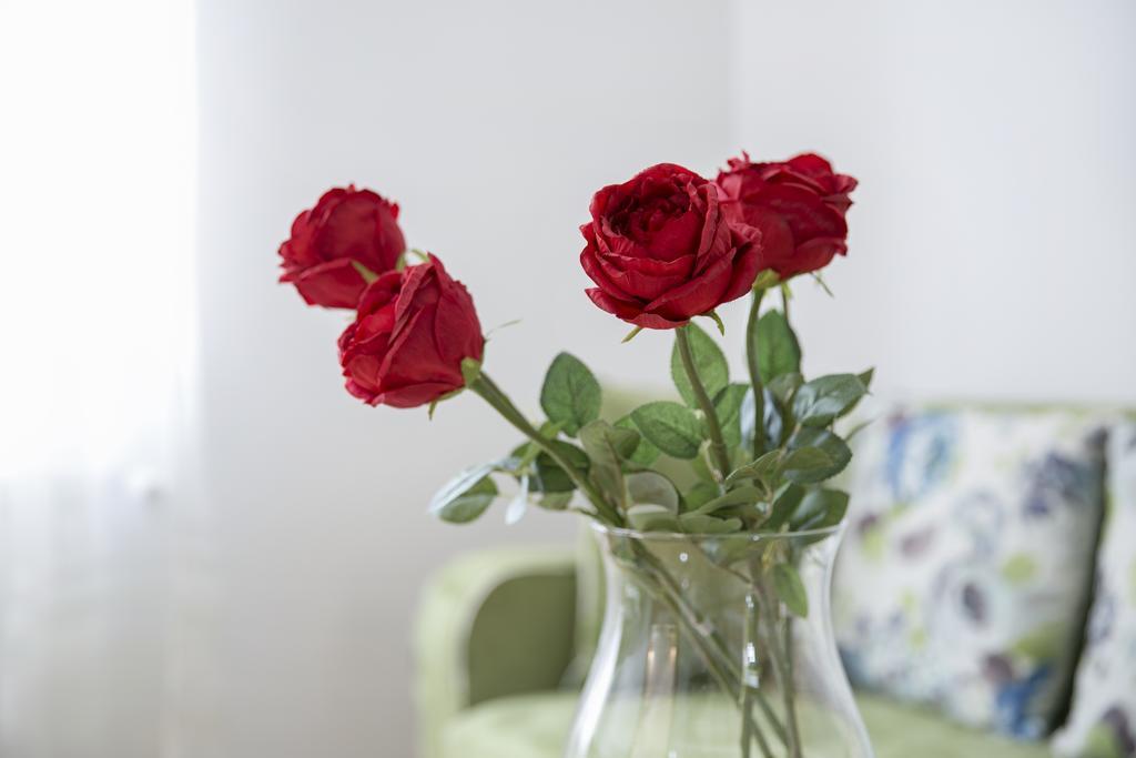 Central Belgrade Apartment 4 ภายนอก รูปภาพ